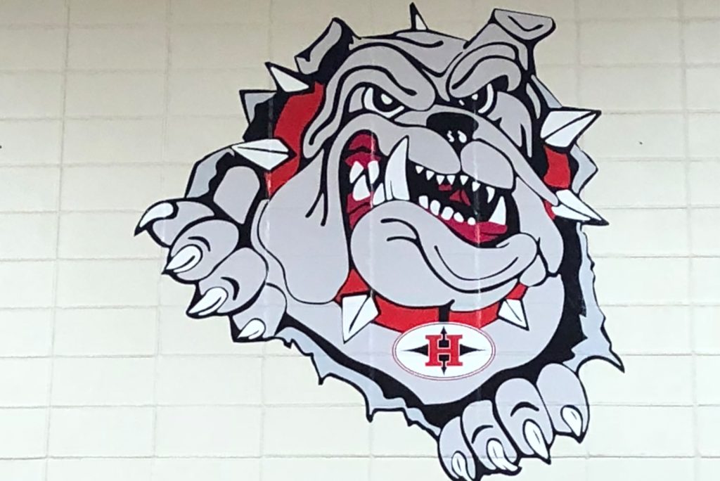 Wall Graphic of bulldog